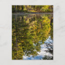 Recherche de montagnes blanches cartes postales Chute