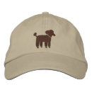 Search for poodle hats Pets
