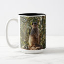 Recherche de merkats tasses Méerkat mignon
