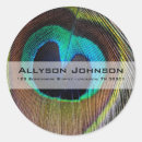 Recherche de photo de paon autocollants Photographie