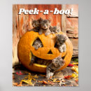 Search for jackolantern art Humor