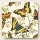 Recherche de insecte dessous de verres Ailes