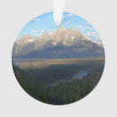 Search for jackson hole ornaments Wyoming