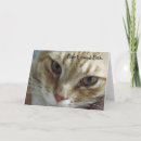 Recherche de orange chat tigré vœux cartes Chats