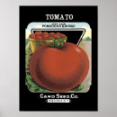 Search for vintage tomato posters Garden