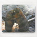 Search for marmots mousepads Cute