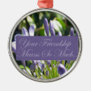 Search for means ornaments Friendship