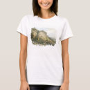 Search for abyssinia tshirts Africa