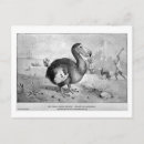 Search for dodo postcards Extinct