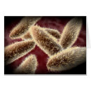 Search for protozoa Science