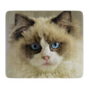 Search for cat cutting boards Siamese