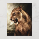 Search for aggressive postcards Angry