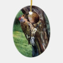 Search for alabama ornaments Yellowhammer
