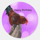Search for roosters stickers Bird