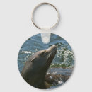 Search for sea lion keychains Ocean