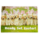 Search for easter bunny gift bags Bunnies