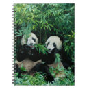 Recherche de pandas carnets Faune