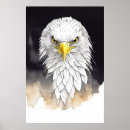Search for eagle watercolor art Animal