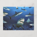 Recherche de tuer cartes postales Eau