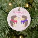 Search for cute hedgehog ornaments Cartoon