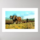 Search for ploughing Shire