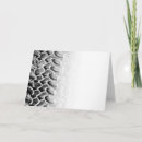 Search for 4x4 postcards Rover