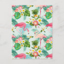 Recherche de oiseaux vintages cartes postales Flamant
