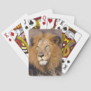 Recherche de comportement jeux de cartes Jour
