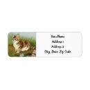 Search for victorian cat return address labels Kitten