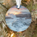 Search for carmel california ornaments Coastline