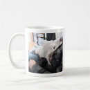 Search for best pal mugs Dog lover