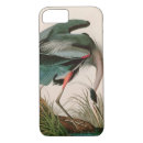 Search for great blue heron iphone cases Animal