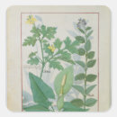 Recherche de traitement médical autocollants Médecine