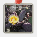 Recherche de cactus ornements Vacances