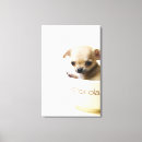 Search for chihuahua dog canvas prints Cute