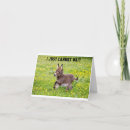 Search for foal birthday cards Donkey