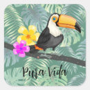 Search for toucan stickers Jungle