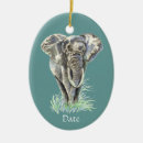 Search for african animals ornaments Nature