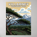 Search for killarney posters Tree