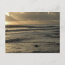 Search for savanah Landscape