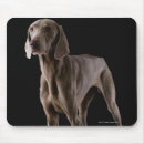 Search for 1 dog mousepads Weimaraner