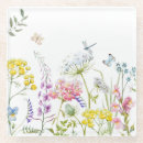 Search for meadow coasters Nature