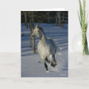 Search for dapple grey cards Bob langrish