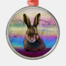 Search for hare ornaments Wild