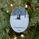 Search for mobile home ornaments Snow