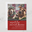 Search for cute puppy christmas cards Pets
