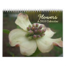Search for azalea office supplies Nature