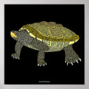 Search for diamondback art Nature