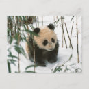 Recherche de sichuan cartes postales Asie