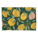 Search for fruit pattern pillowcases Illustration